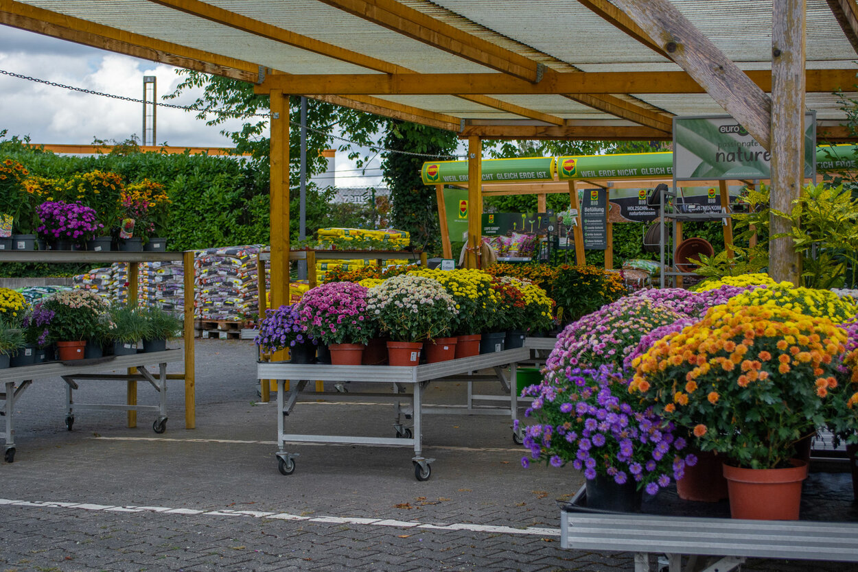 Raiffeisen Markt RWG Rheinland eG in Erkrath RWG Rheinland